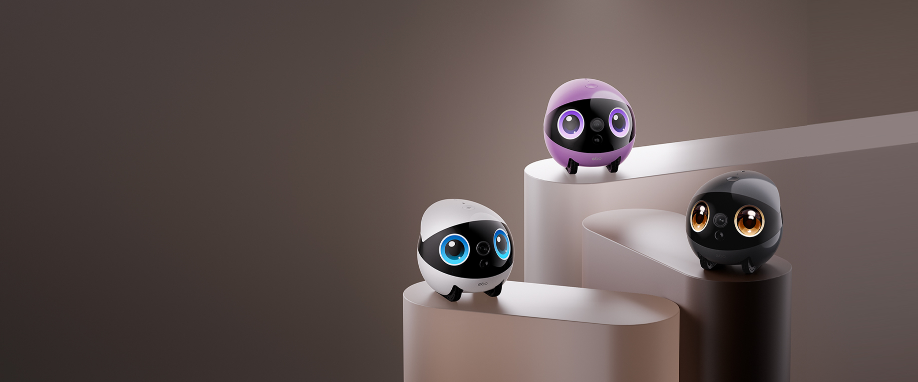 EBO Air 2 Plus FamilyBot