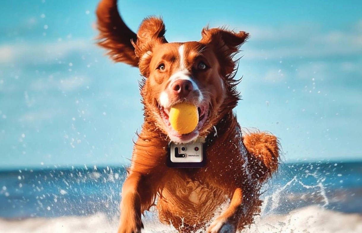 ROLA PetTracker