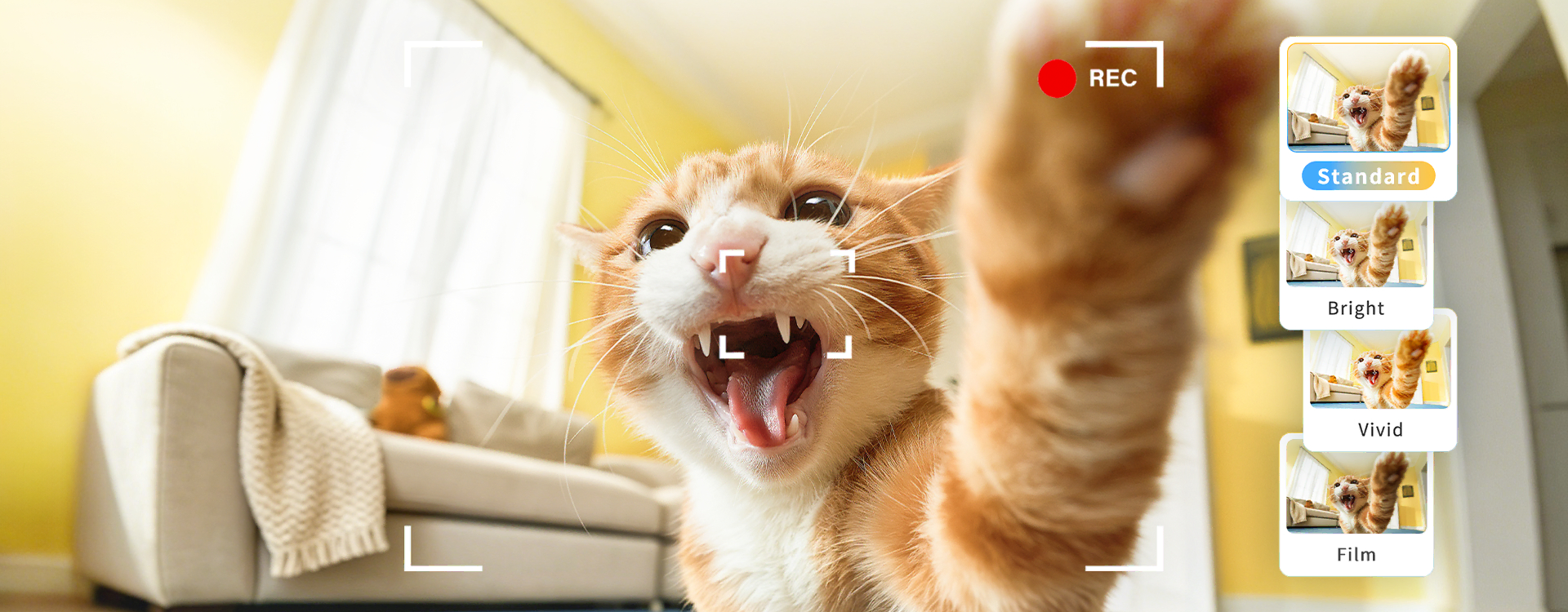 2K Pet Vlog Camera
