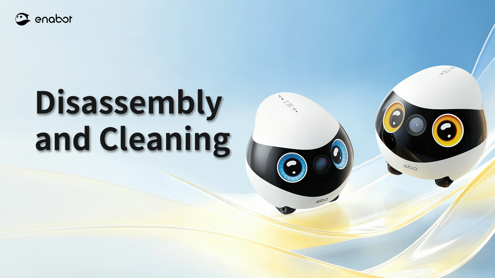 Disassembly and Cleaning