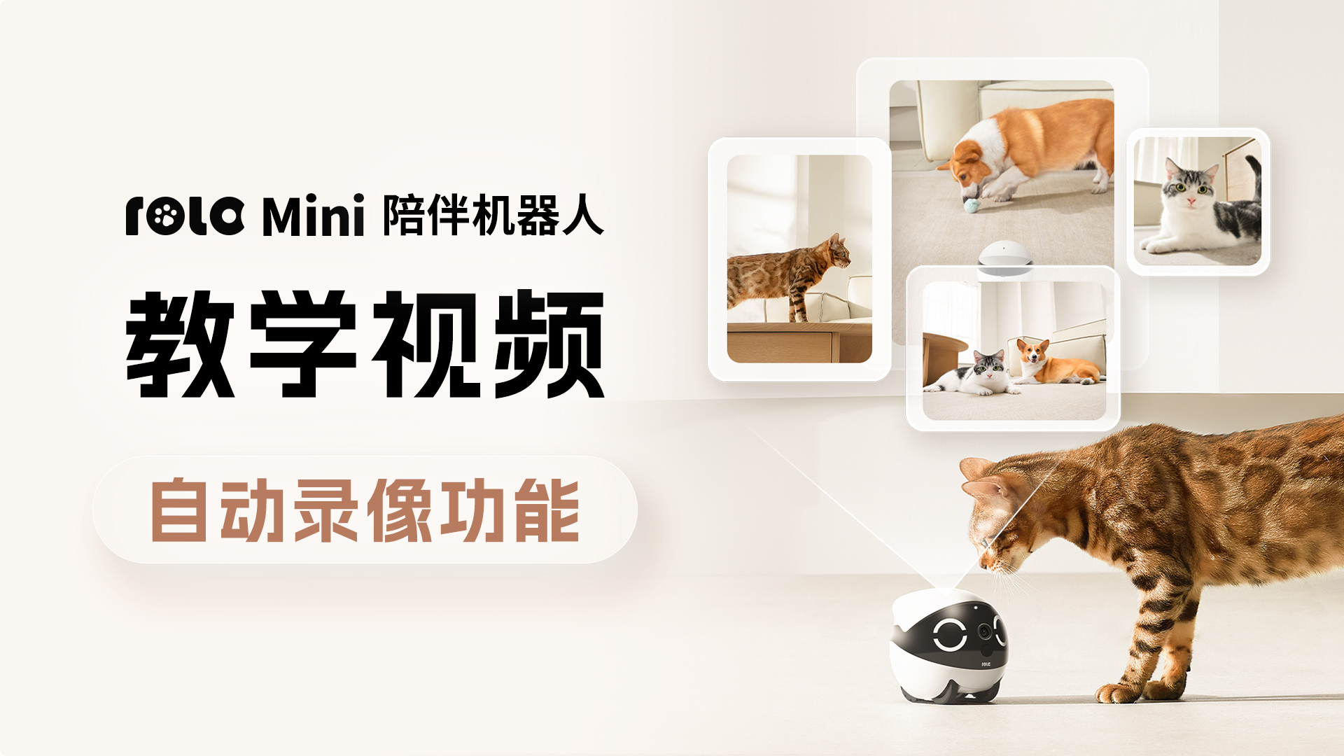 自动录像功能展示