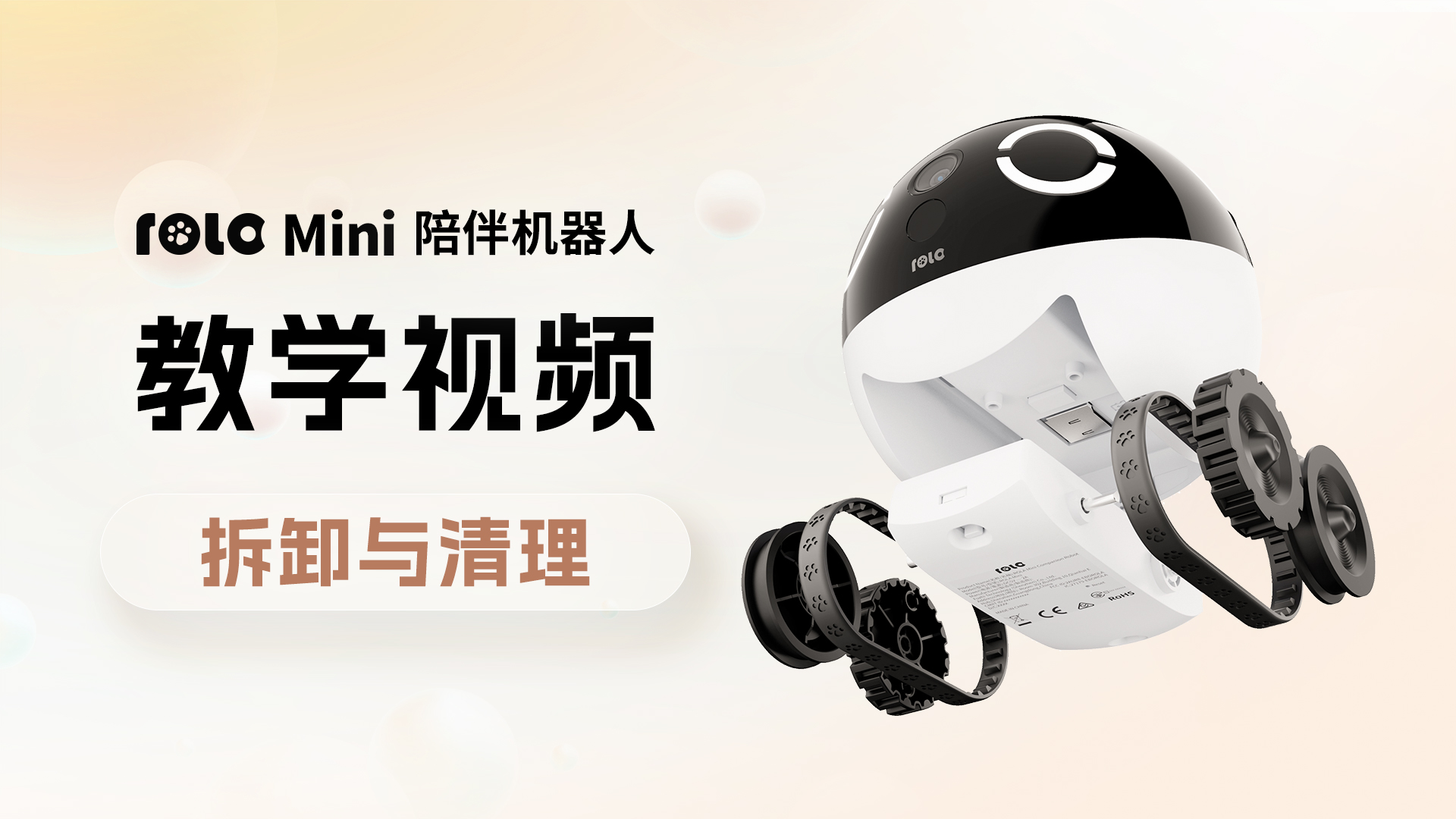 拆卸与清理