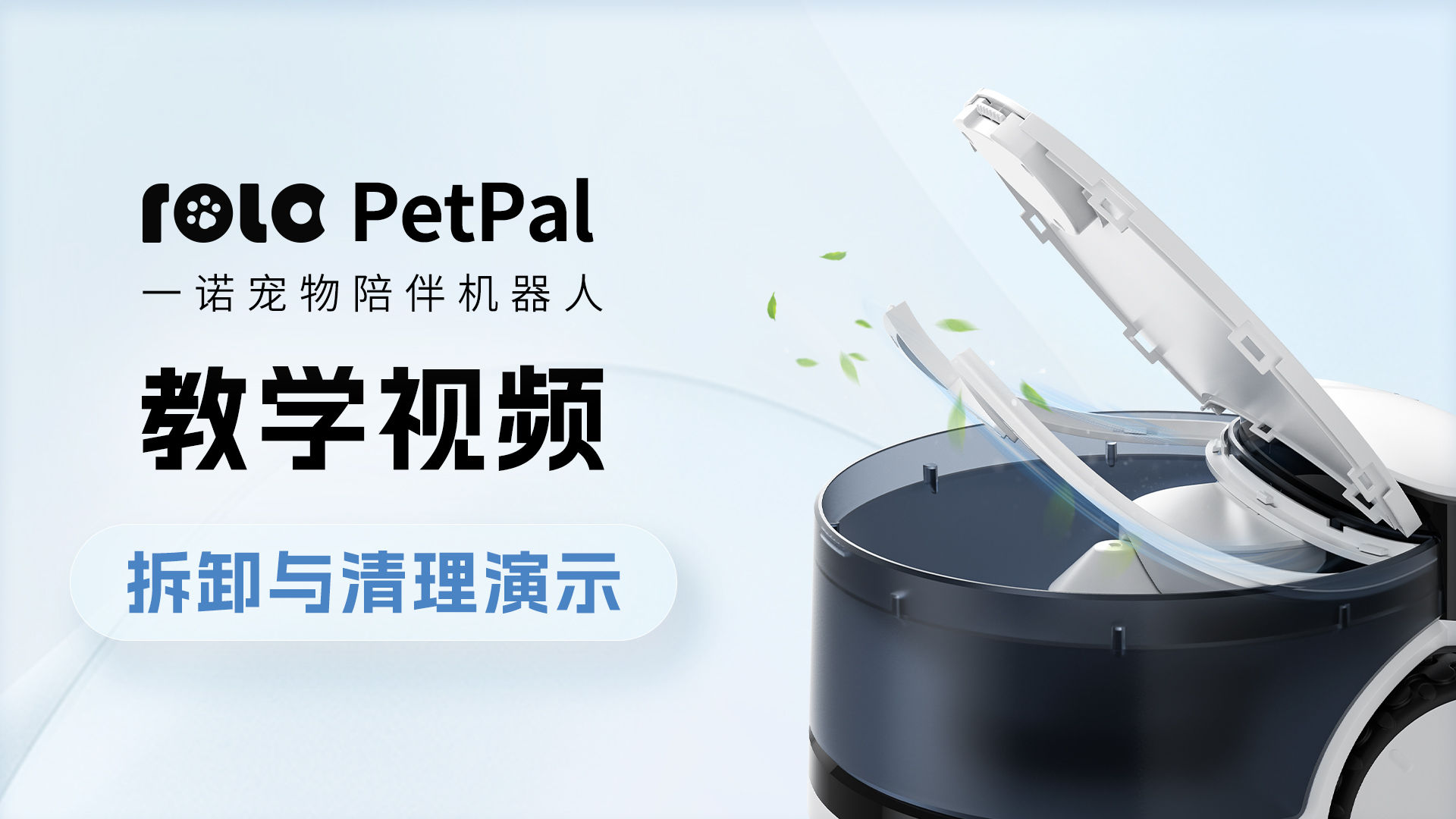 拆卸与清洁