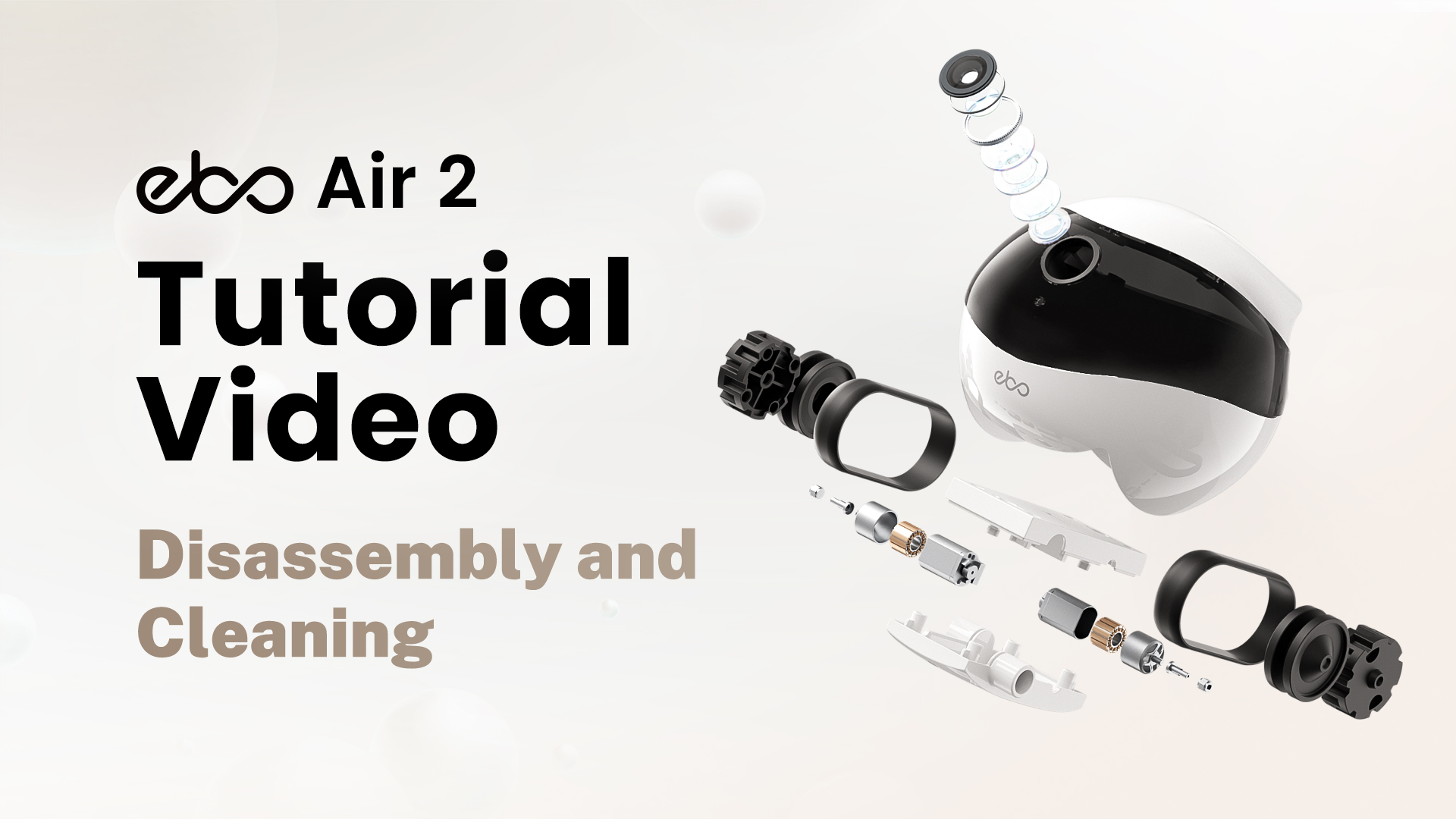 Disassembly and Cleaning
