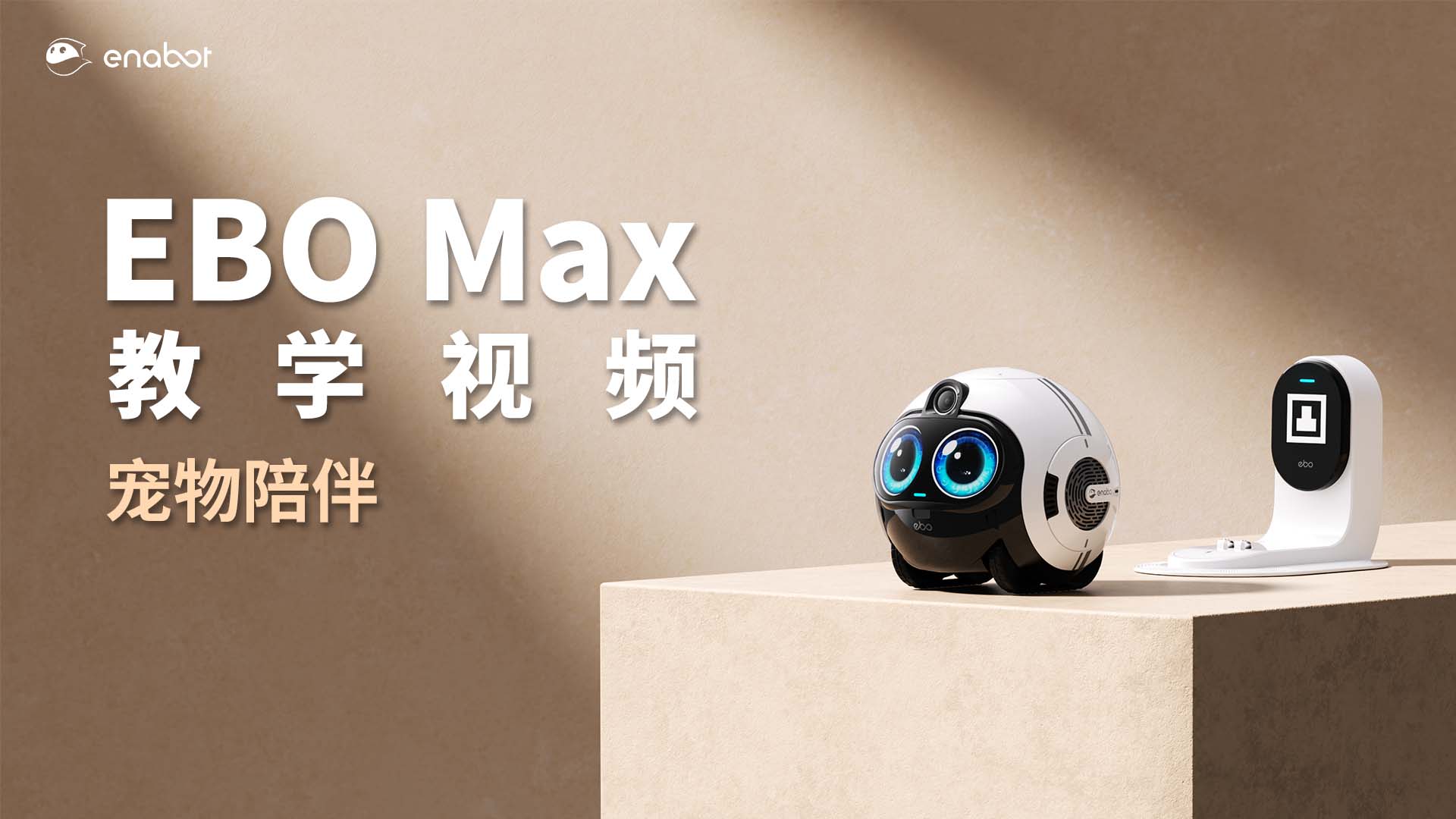 宠物陪伴